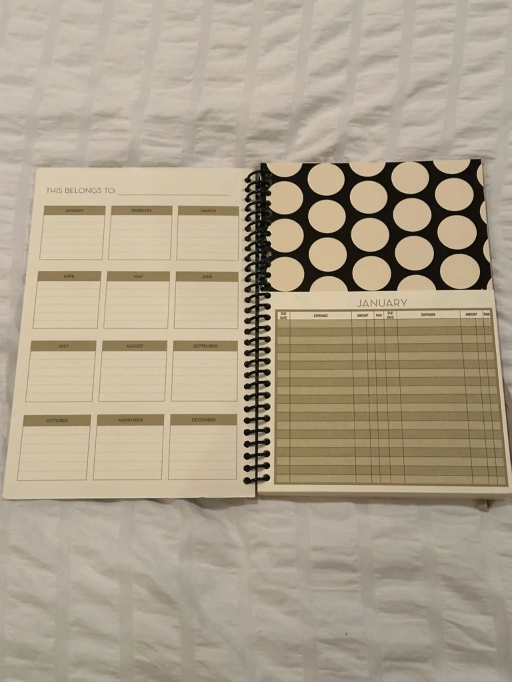 Financial Planner & Two-Year Planner Set in Black and Cream